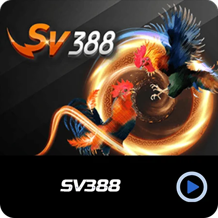 Cock-388